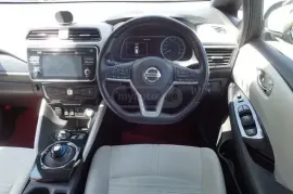 Nissan, Leaf