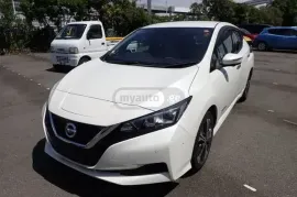 Nissan, Leaf