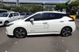 Nissan, Leaf