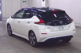 Nissan, Leaf