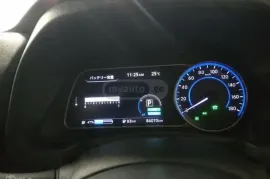 Nissan, Leaf