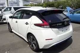 Nissan, Leaf