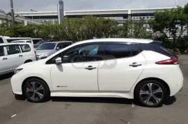 Nissan, Leaf