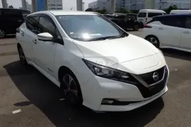 Nissan, Leaf