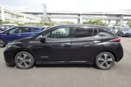 Nissan, Leaf