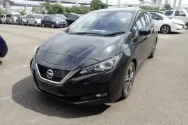 Nissan, Leaf