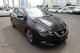 Nissan, Leaf
