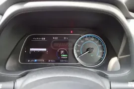 Nissan, Leaf