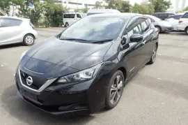 Nissan, Leaf