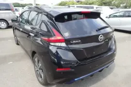 Nissan, Leaf