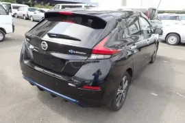 Nissan, Leaf