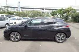 Nissan, Leaf