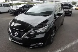 Nissan, Leaf