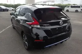 Nissan, Leaf
