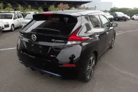 Nissan, Leaf