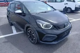 Honda, Fit