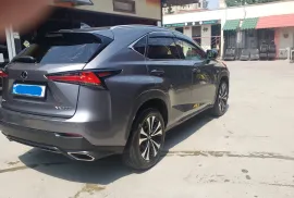 Lexus , NX, NX 300