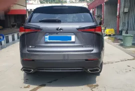 Lexus , NX, NX 300