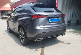 Lexus , NX, NX 300