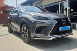 Lexus , NX, NX 300