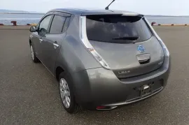 Nissan, Leaf