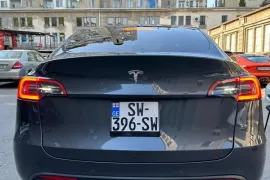 Tesla, Y performance