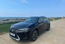 Lexus, UX series, UX250h