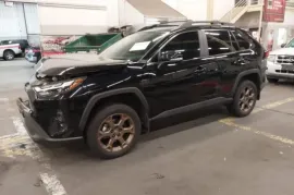 Toyota, RAV4