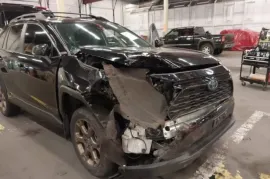 Toyota, RAV4