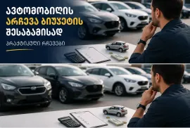 ავტომობილის არჩევა ბიუჯეტის მიხედვით – პრაქტიკული რჩევები