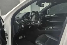 Mercedes-Benz, GLE-CLASS, GLE 43 AMG