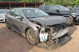 Toyota, Camry