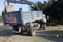 Daf, სხვა