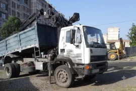 Daf, სხვა