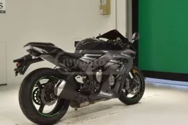 Kawasaki, ZX-10 Ninja