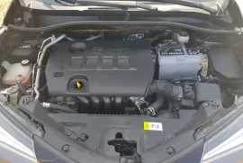 Toyota, Prius, Prius C