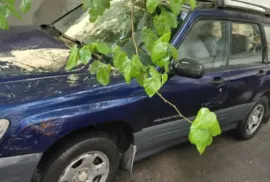Subaru, Forester