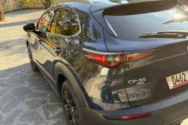 Mazda, Другое