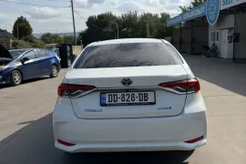 Toyota, Corolla