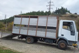 Iveco, Daily