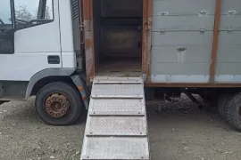 Iveco, Daily