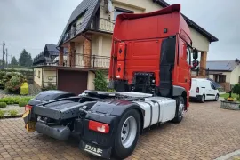 Daf, სხვა