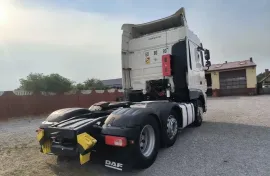 Daf, სხვა