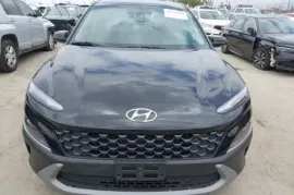 Hyundai, Kona