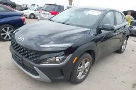 Hyundai, Kona
