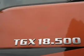 Man, TGX