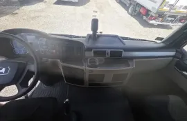 Man, TGL