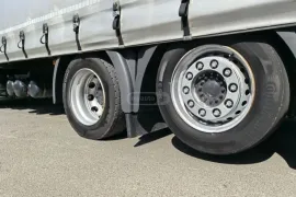 Man, TGX