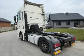 Man, TGX