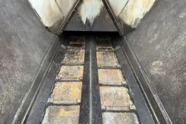 სხვა